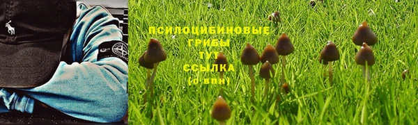 мдма Иннополис