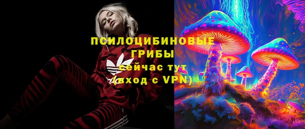 бутират Инта